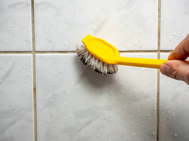 Best Mold Testing  in Maywood Park, OR