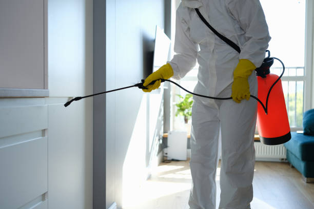 Best Residential Mold Removal  in Maywood Park, OR